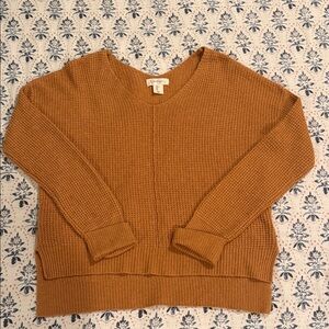 Jessica Simpson Women's V-Neck Sweater in Brown